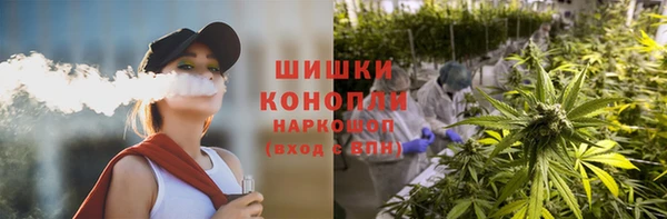 дживик Каменка