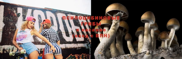 каннабис Каменногорск