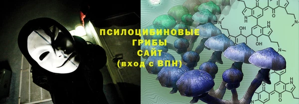 не бодяженный Каменск-Шахтинский