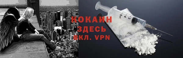 дживик Каменка